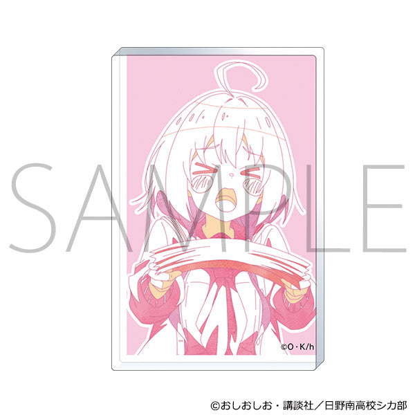 【25年2月発売】しかのこのこのここしたんたん　ミニアクリル複製原画 たぬき